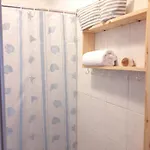 Salzhaff 4 *