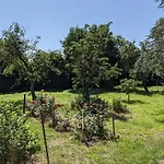 Salzhaff 4 Apartamento